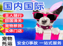 拉萨贡嘎航空快递国际宠物托运 【国